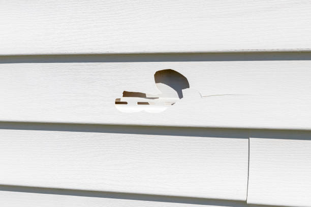 Best Demolition Debris Removal  in Fmington, AR
